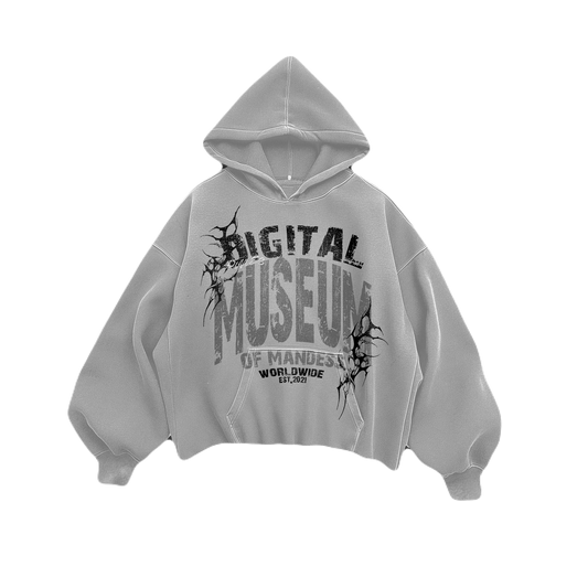 DD MUSEUM light grey hoodie